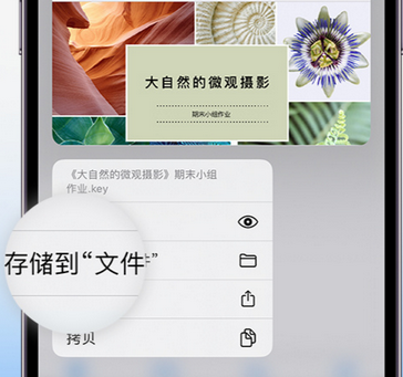 佳县apple维修中心分享iPhone文件应用中存储和找到下载文件