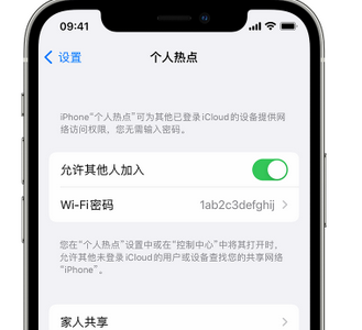 佳县apple服务站点分享iPhone上个人热点丢失了怎么办 