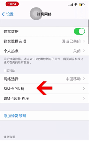 佳县苹果14维修网分享如何给iPhone14的SIM卡设置密码 