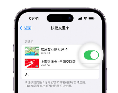 佳县apple维修点分享iPhone上更换Apple Pay快捷交通卡手绘卡面 