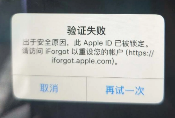 佳县iPhone维修分享iPhone上正常登录或使用AppleID怎么办 