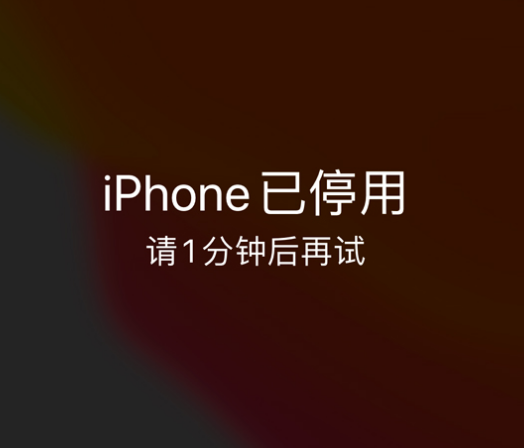 佳县苹果手机维修分享:iPhone 显示“不可用”或“已停用”怎么办？还能保留数据吗？ 