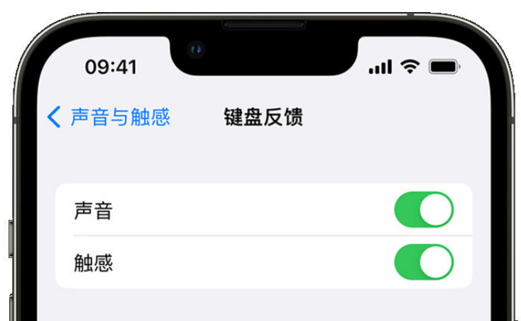 佳县苹果手机维修分享iPhone 14触感键盘使用方法 