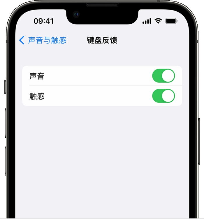 佳县苹果14维修店分享如何在 iPhone 14 机型中使用触感键盘 