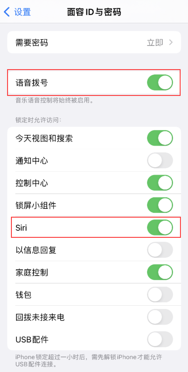 佳县苹果维修网点分享不解锁 iPhone 的情况下通过 Siri 拨打电话的方法 