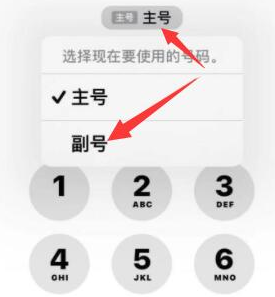 佳县苹果14维修店分享iPhone 14 Pro Max使用副卡打电话的方法 