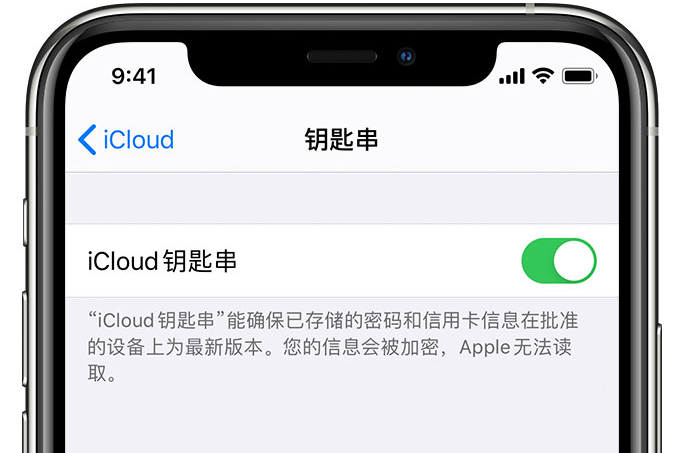 佳县苹果手机维修分享在 iPhone 上开启 iCloud 钥匙串之后会储存哪些信息 